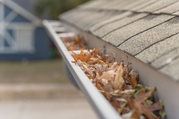 Leaf Barrier Installation in Schaumburg